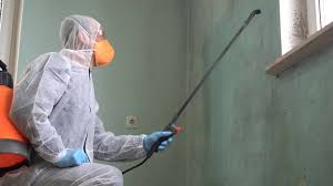 Professional Mold Removal Services in Highfill, AR