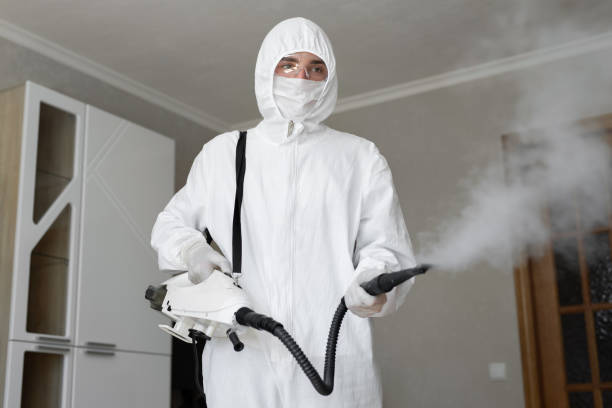 Mold Remediation for Rental Properties in Highfill, AR