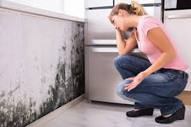 Best Mold Remediation for Rental Properties  in Highfill, AR